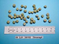 Click for 4 image(s) for this accession. Image
